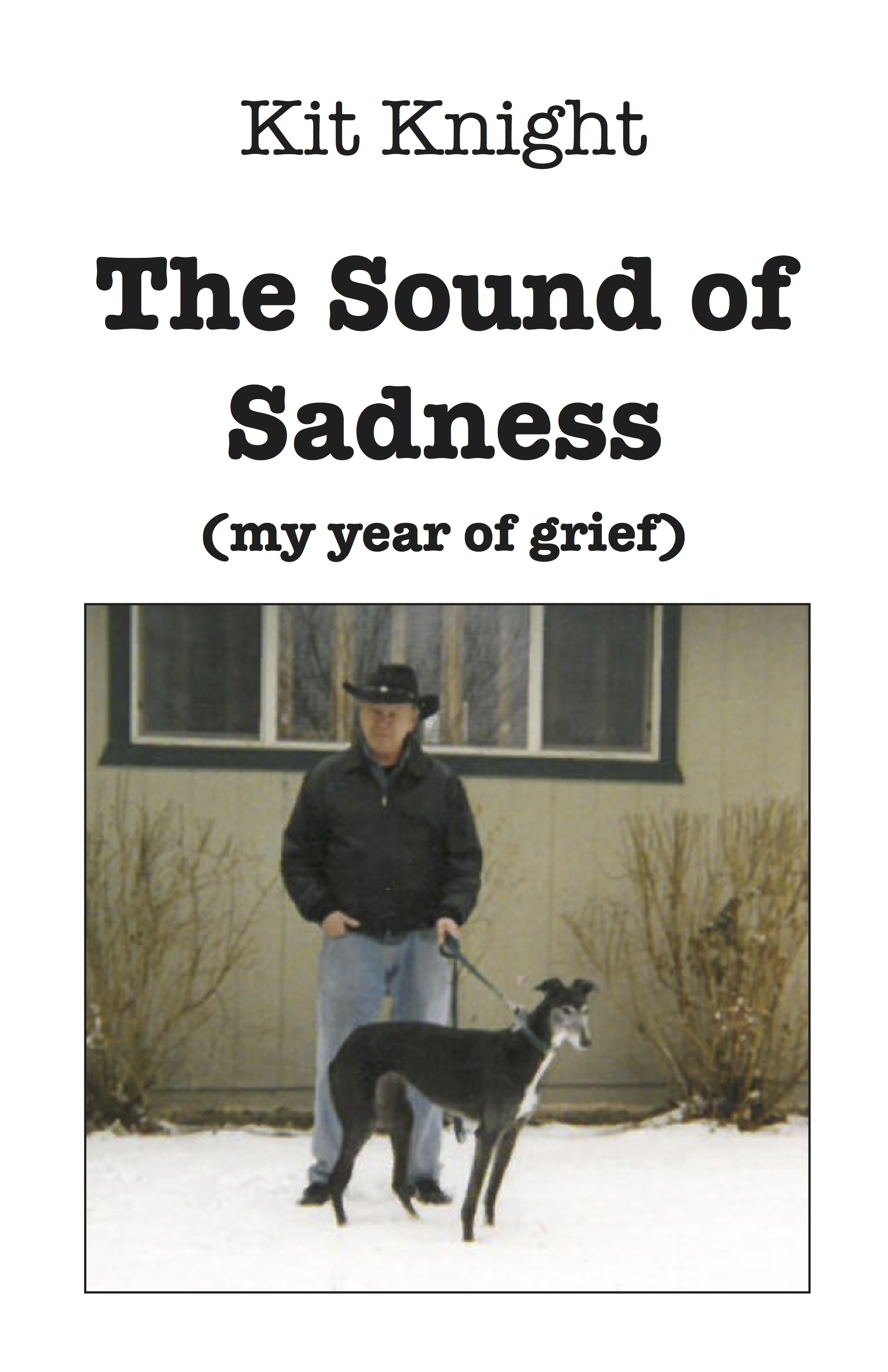 The Sound of Sadness by Kit Knight