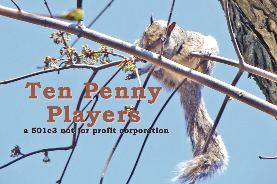 squirrel leading to ten penny players home page