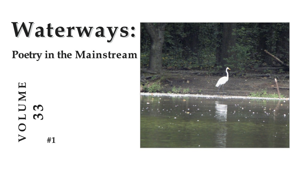 issue number one - white heron at clove lake