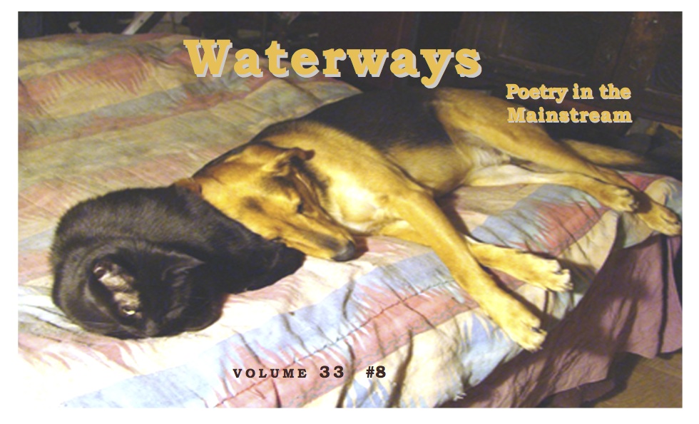 number eight -- cat and dog asleep on a bedspread