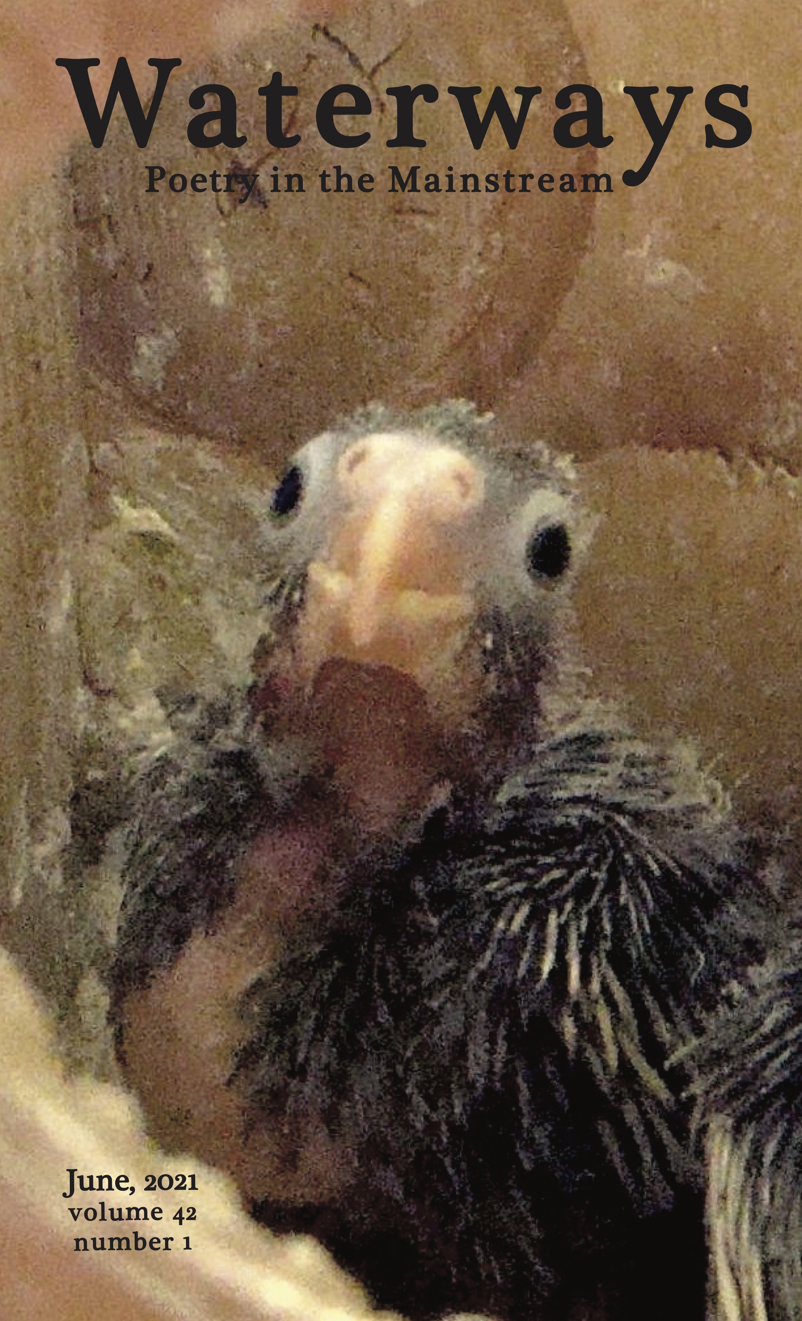 Cover for June shows a cockatiel chick in its nest