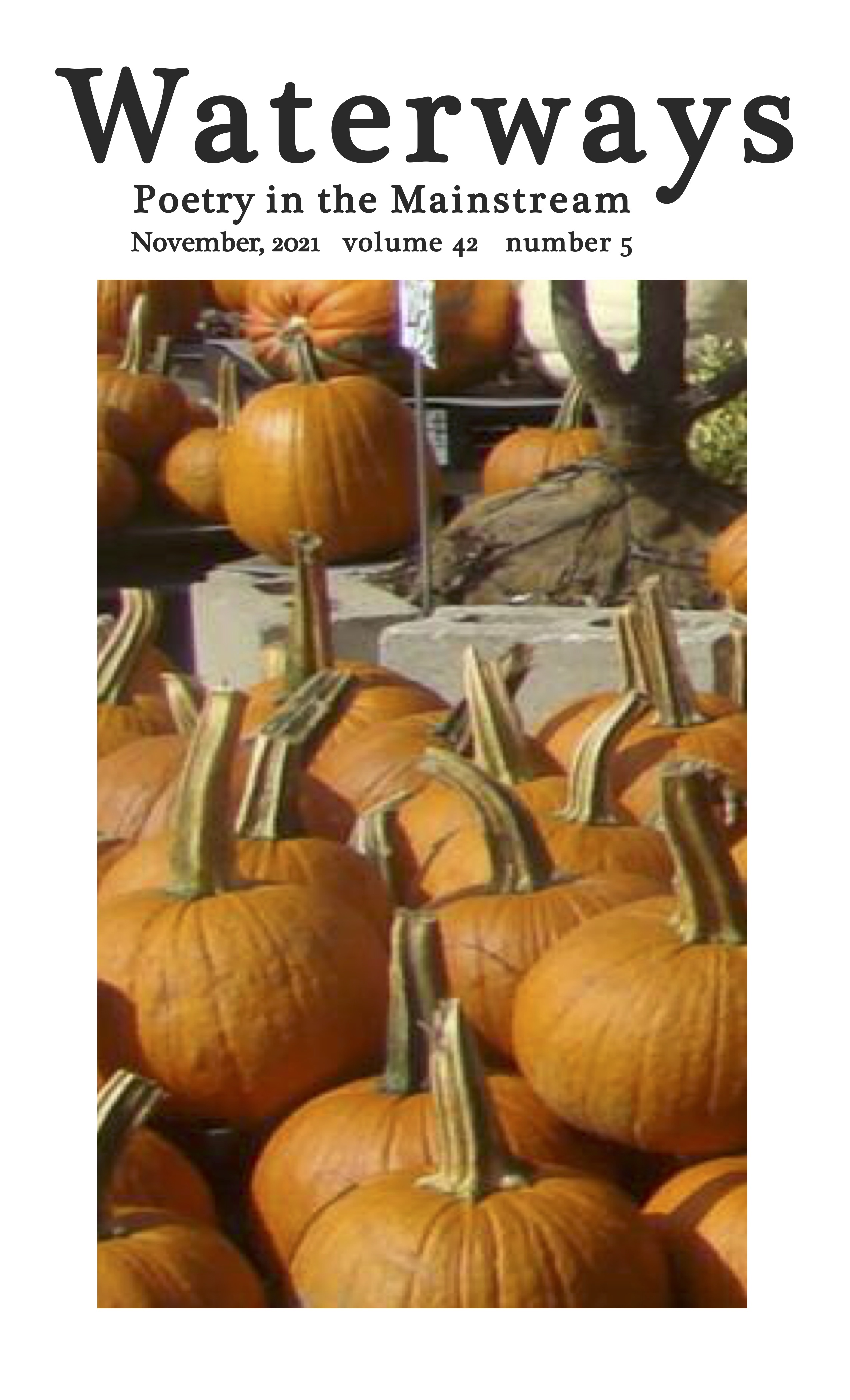 pumpkins and squash on display at farmers' market
