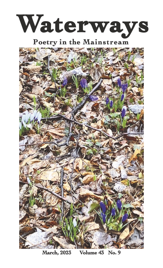 Cover for March is a photo of early spring sproutings of grass, small flowers, dried leaves left from autumn, and twigs randomly fallen on the ground.